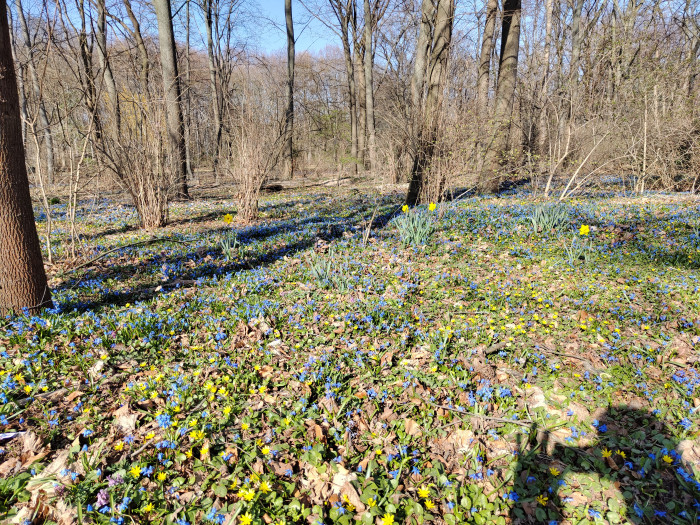 Beim Xiaomi 12X rei&szlig;en helle Stellen eher mal aus, daf&uuml;r wirken die Farben wesentlich realistischer. (Bild: Tobias K&ouml;ltzsch/Golem.de)